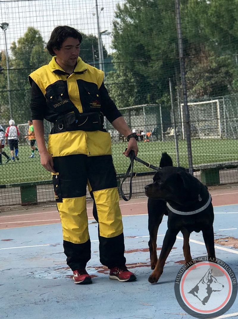 Sichere Sportbekleidung für Sport und Training mit dem Hund